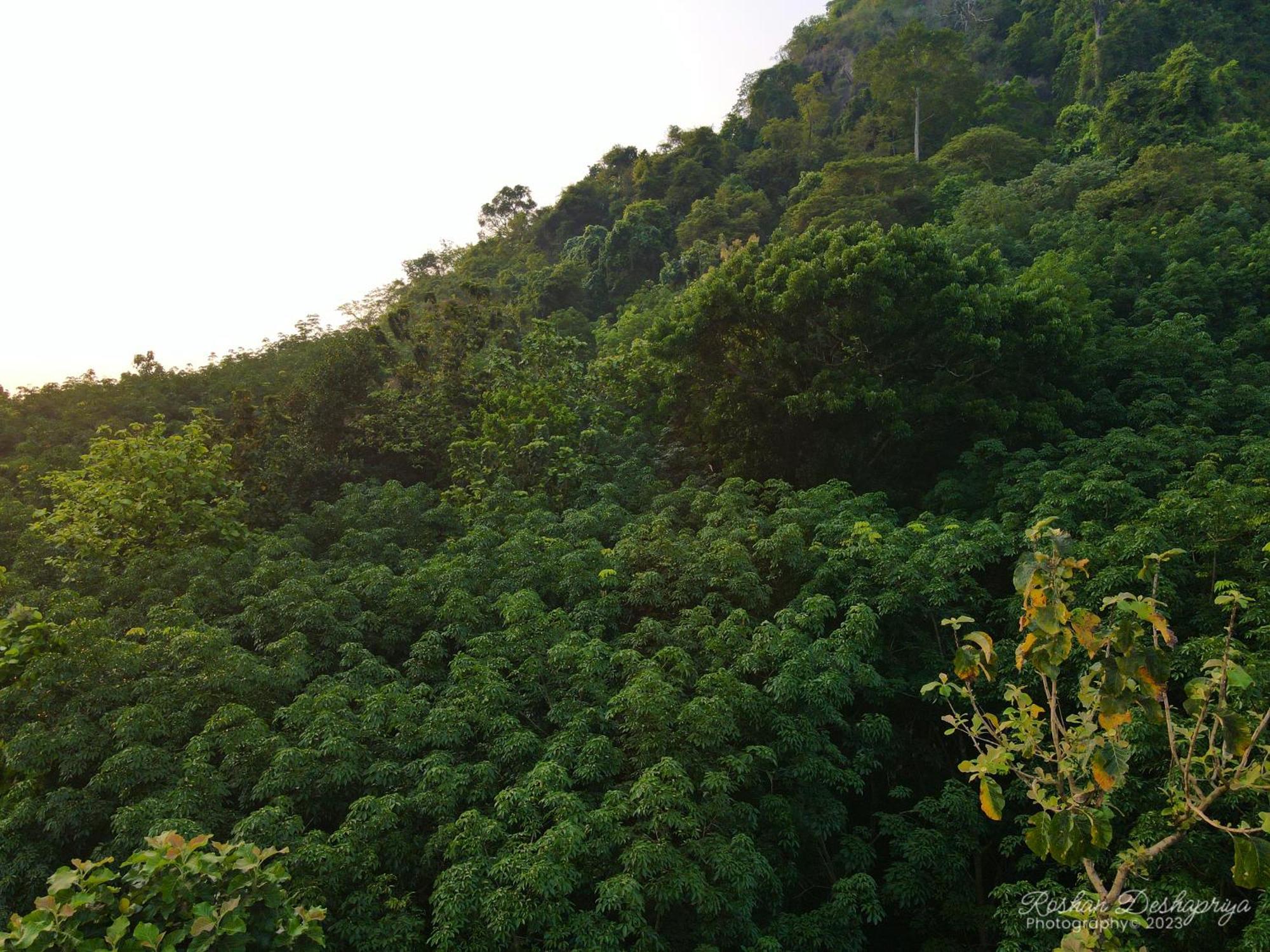 Kakulanda Resort Kurunegala Bagian luar foto